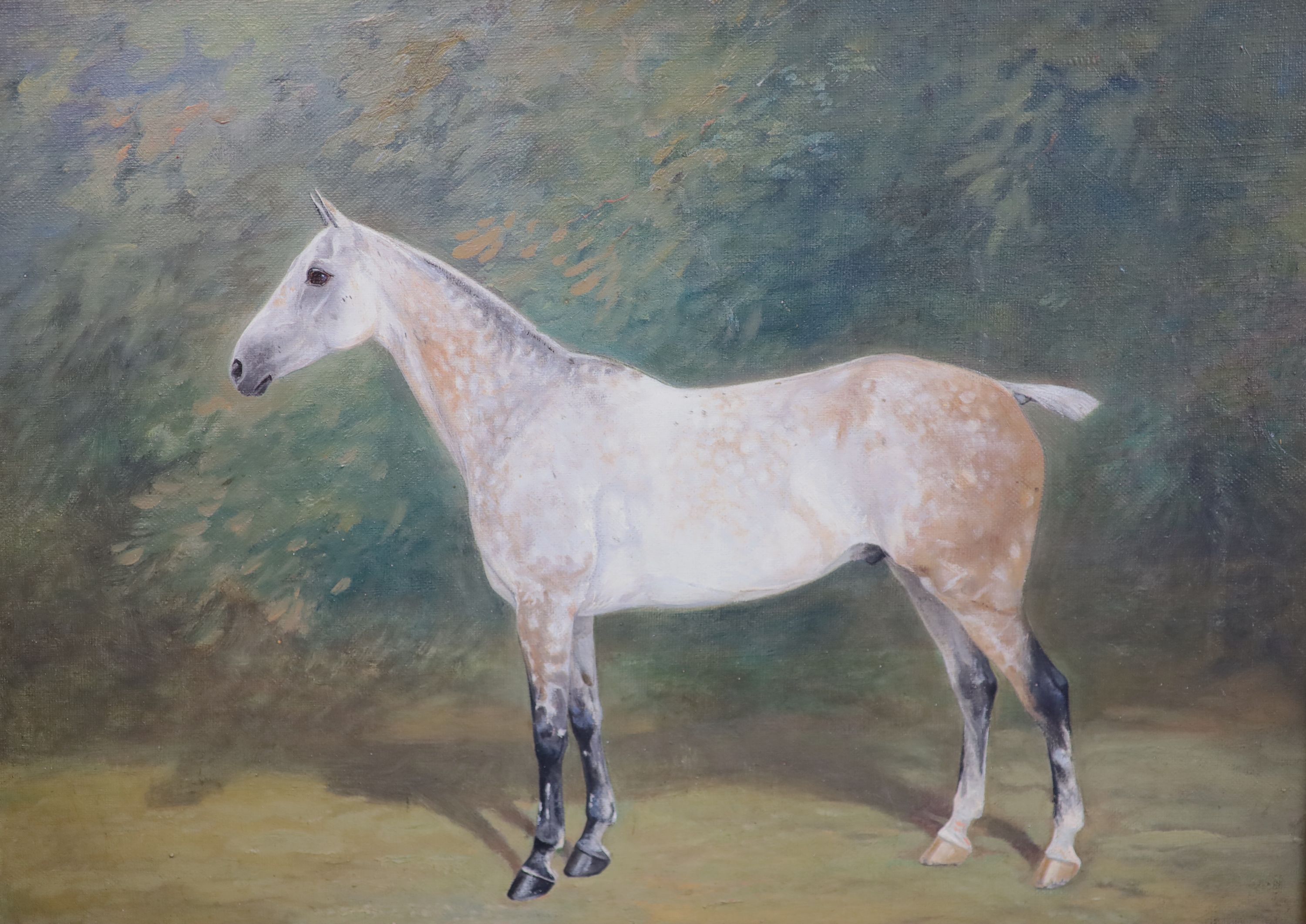 William Joseph Redworth (1873-1941), Portraits of Racehorses: Archdeacon, Chanois, Lord Dalmahoy and Niger, set of 4 oils on canvas, 30 x 39.5cm